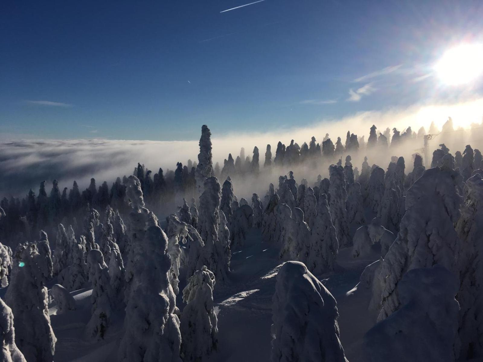 Apartmán Švícárek Loucná pod Klínovcem Exterior foto
